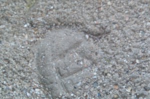 photo of a footprint